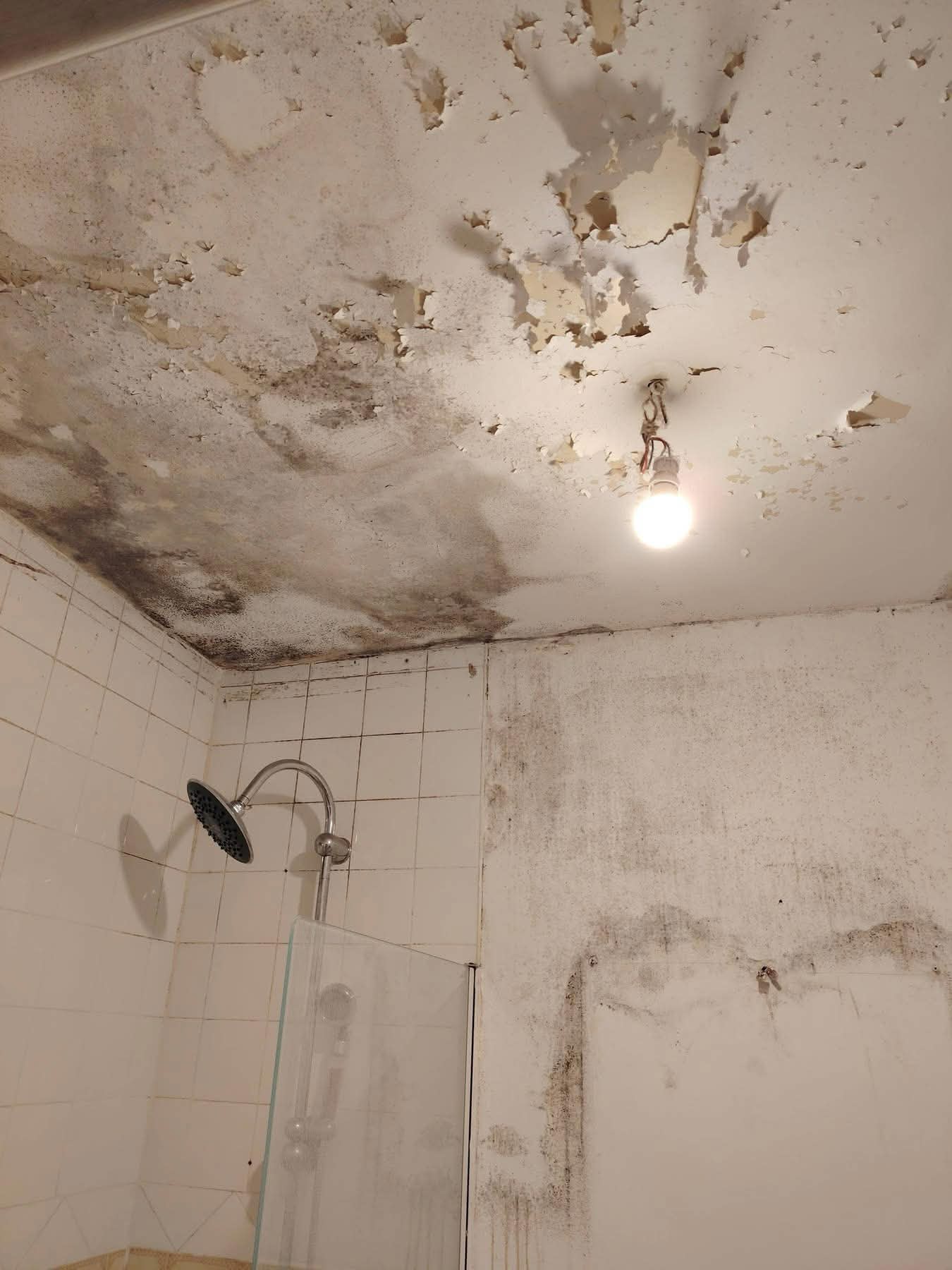 Dégât des eaux — salle de bain avec moisissures et peinture décollée au plafond, avant intervention ODS Rénovation